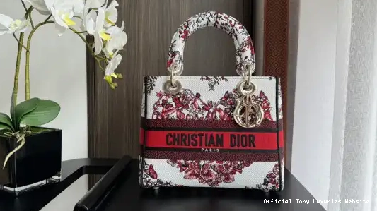 Tony Luxuries MEDIUM LADY BAG-24-20-11CM diro D-LITE 0323